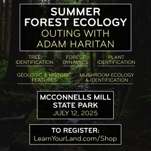 Summer Forest Ecology Outing — Saturday, July 12