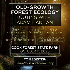 Old-Growth Forest Ecology Outing — Saturday, October 11