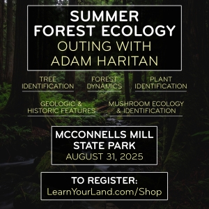 Summer Forest Ecology Outing — Sunday, August 31